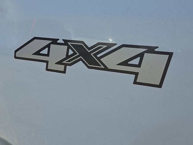 2010 Chevrolet Silverado 1500 Work Truck